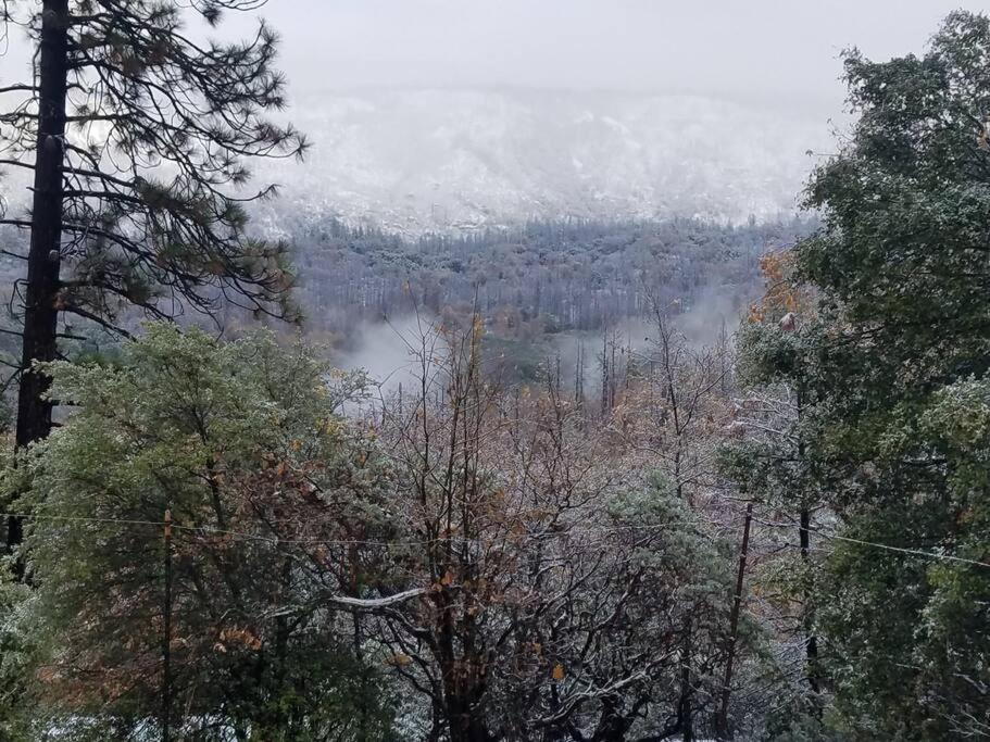 Uncle Grizz'S Cabin...Get Intouch With Nature Bass Lake Annex Dış mekan fotoğraf