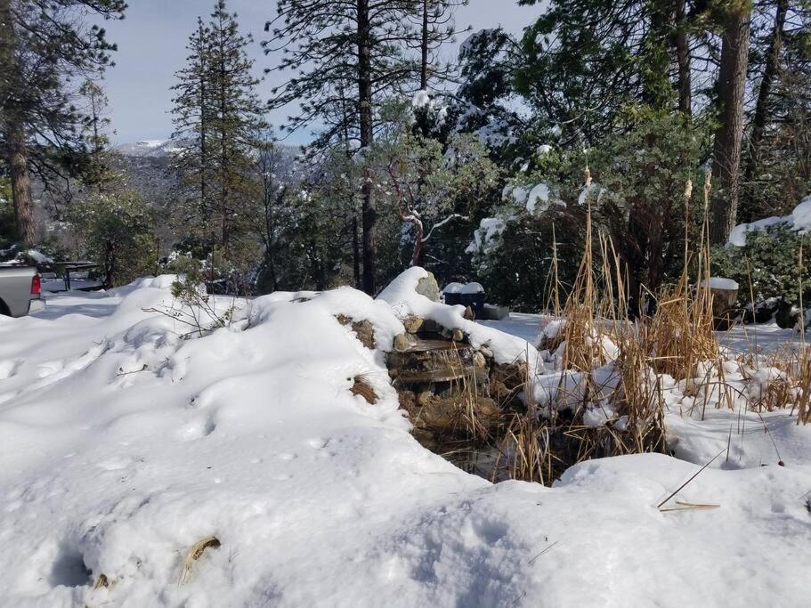 Uncle Grizz'S Cabin...Get Intouch With Nature Bass Lake Annex Dış mekan fotoğraf