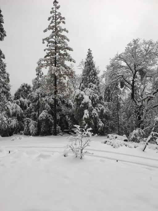 Uncle Grizz'S Cabin...Get Intouch With Nature Bass Lake Annex Dış mekan fotoğraf